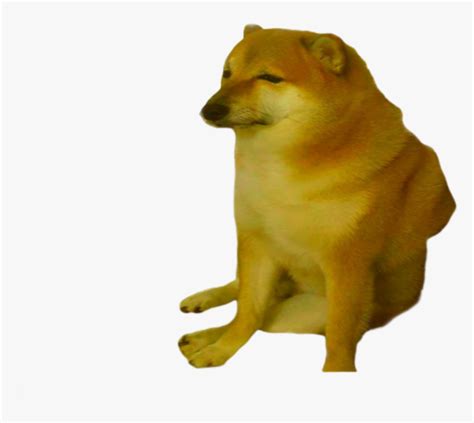 Cheems Doge Hd Png Download Kindpng