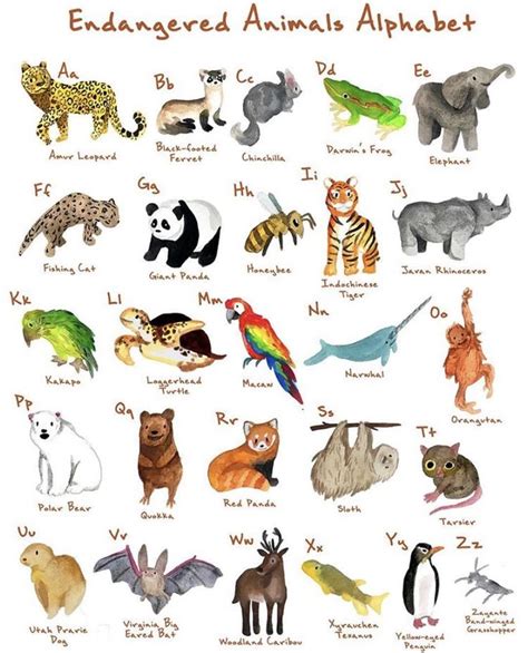 Printable List Of Endangered Animals 99tips