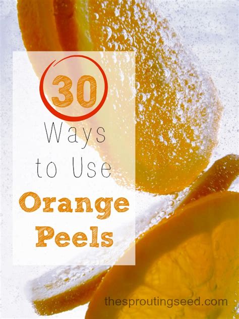 30 Ways To Use Orange Peels Recipes Redesigned
