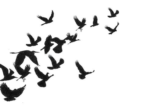 Black Birds Flying Drawing Flying Blackbird Outline Black Flying Bird