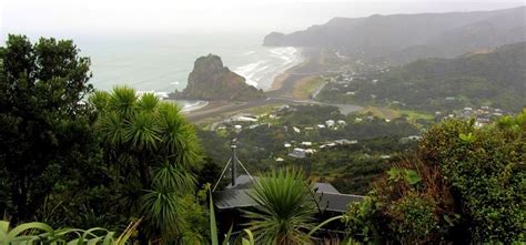 Review Bush And Beach Nature Tour Waitakere Rainforest In Auckland