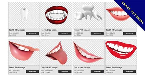 牙齒PNG圖像集合免費下載 Crazypng 免費去背圖庫PNG下載 Crazypng 免費去背圖庫PNG下載