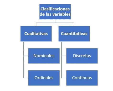 Clasificaciones De Las Variables ¿cómo Se Clasifican