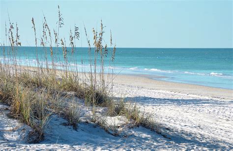 Serene Florida Beach Scene Photograph By Rebecca Brittain