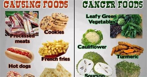 Efek beracun itu berasal dari kontaminasi bakteri dan virus, atau zat tertentu yang tidak bisa diterima oleh. Jom Kongsi Pengalaman: Makanan Anti kanser vs makanan ...