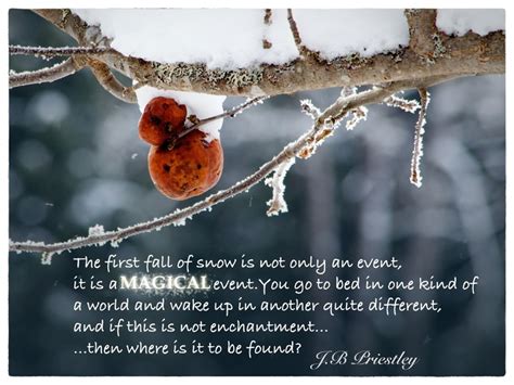 A Quote About The Magical In The First Snow Quotes About The One Snow