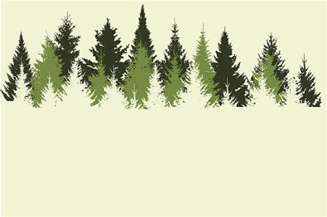 38 Evergreen Tree Clipart Background Alade