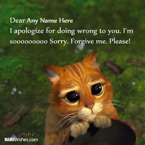 Write Name On Cutest Sorry Images For Friends In 2020 Sorry Images