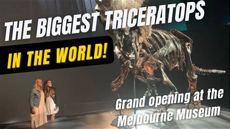 Melbourne Vip Opening Event And Museum Exhibition Triceratops Fate Of The Dinosaurs Youtube