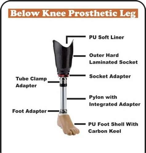 Below Knee Prosthesis आर्टिफिशल लिम्ब आर्टिफिशियल लिब Kalyan