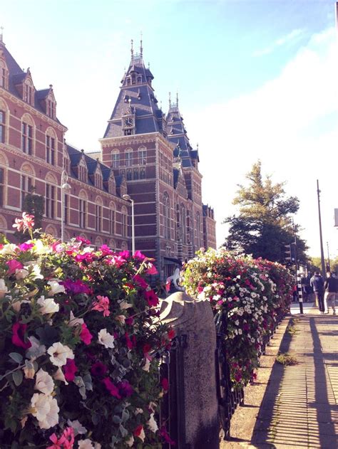Amsterdam flowers | Mundo