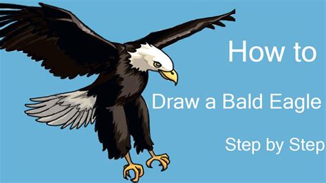 How To Draw A Bald Eagle Step By Step Youtube
