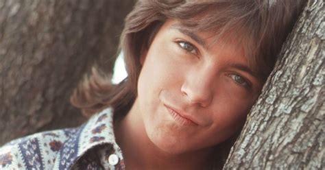 Remembering David Cassidy 70s Actor And Pop Idol Best Classic Bands