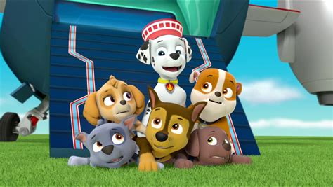 Zumagallerymission Paw Pups Save The Royal Throne Paw Patrol Wiki