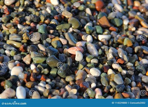 Colored Pebbles On The Beach Stock Photo Image Of White Moistened