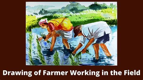 How To Draw Rice Plantation Scenerystep By Step Memory Drawing Of