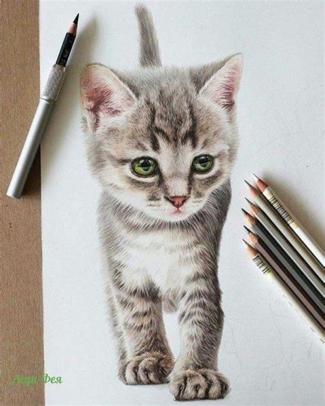 Cat Portrait Pencil Art Drawings Realistic Art Prismacolor Art