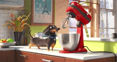 Now we recommend you to download first result key amp peele cute puppies mp3. Pets Movie GIFs - Find & Share on GIPHY