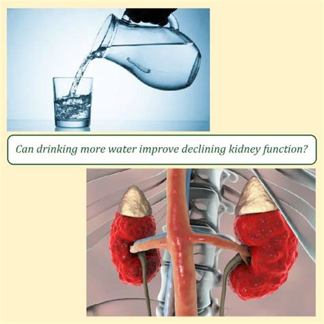 Drink Water For Kidney Health All Things Kidney ~ Official