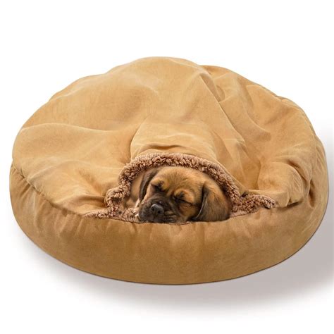 12 Best Burrowing Dog Beds
