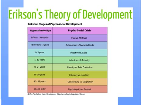 Theory Of Development Erickson Stages Of Development Stages Of