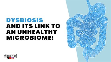 Dysbiosis And Its Link To An Unhealthy Microbiome Trentytok Youtube