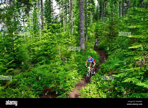 Mountain Bike Squamish British Columbia Canada Stock Photo Alamy