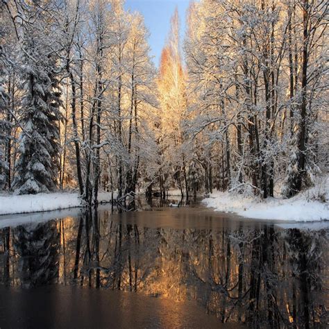 Frozen River Wallpaperrocks Winter Wallpaper Winter Scenes Scene