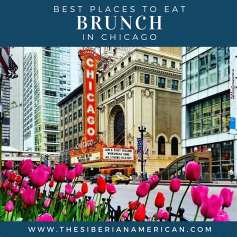 The Siberian American Best Places For Brunch In Chicago