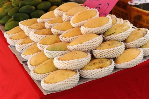 100g of mango has about 70 calories (kcal). Yellow mango stock image. Image of juicy, asia, thai ...