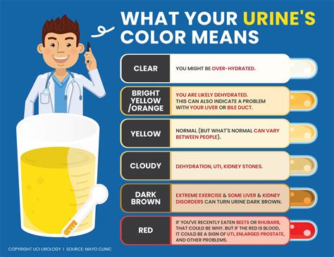 What The Color Of Your Pee Says About Your Health The Summit Express Urine Colour Chart