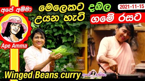 මෙලෙකට දඹල උයන හැටි ගමේ රසට Healthy Winged Beans Curry By Apé Amma