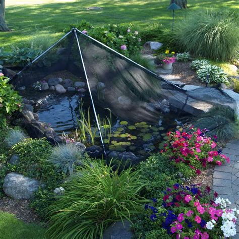 A garden expert has shared tips to kill ants and other insects our privacy notice explains more about how we use your data, and your rights. Pond Protection Netting | Garden Pond Netting