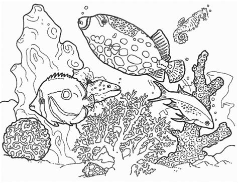 Coloriage Poissons De Décoration Dessin Gratuit à Imprimer