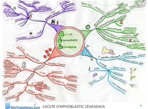 Acute Lymphoblastic Leukaemia Mind Map All Pathophysiology All