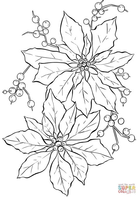 Descarga e imprime estos dibujos para colorear de pascuas de forma gratuita. Poinsettia Flower coloring page | Free Printable Coloring Pages