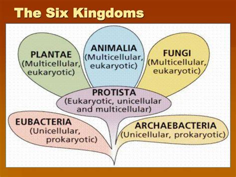 The Six Kingdom System