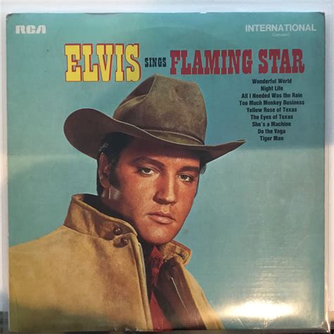 Vinyl Record Album Music Record Elvis Presley Albums Rei Do Rock