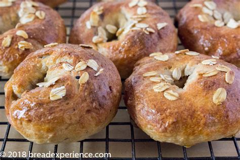 Mini Sourdough Oatmeal Blueberry Egg Bagels And Bagel Loaf Bread