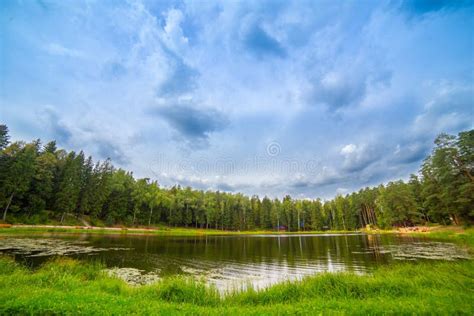 Forest Lake Stock Photo Image Of Environment Green 60266984