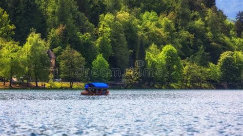 Iconic Bled Scenery Boats At Lake Bled Slovenia Europe Stock Photo