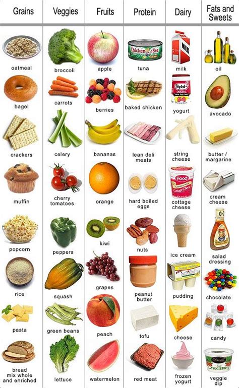 Nutrition Variety Veggies Fruit Grains Protein Dairy Fats