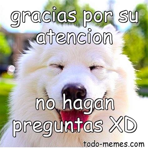 Meme De Gracias Por Su Atencion No Hagan Preguntas Xd