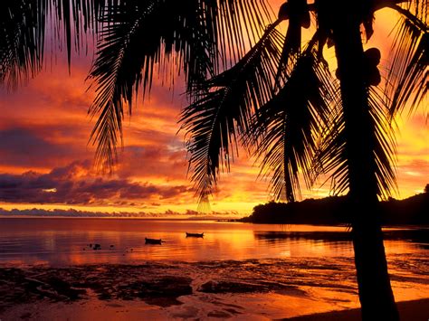 61 Tropical Island Sunset Wallpaper