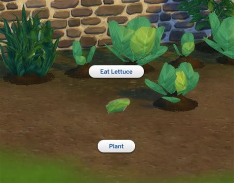 Mod The Sims Harvestable Lettuce