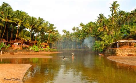 Amazing Cola Beach In Goa Uncover The Hidden Gem Of South