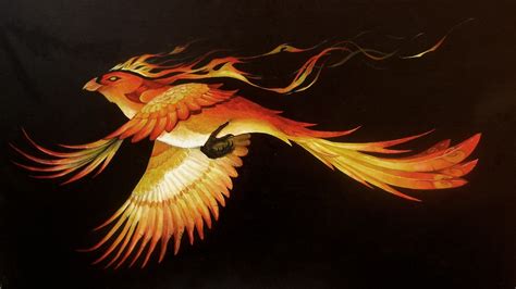 Phoenix Bird Wallpapers 80 Images