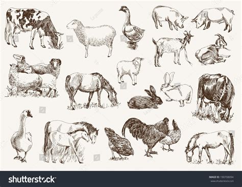Farm Animals Set Vector Sketches On Stock Vector 190708094 Shutterstock