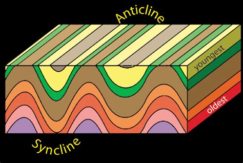 Syncline Diagram
