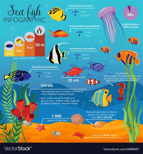 Coral Reef Animals And Plants